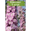 Саженцы дельфиниума Центурион Пинк (Centurion Pink) -  комплект 5 шт.